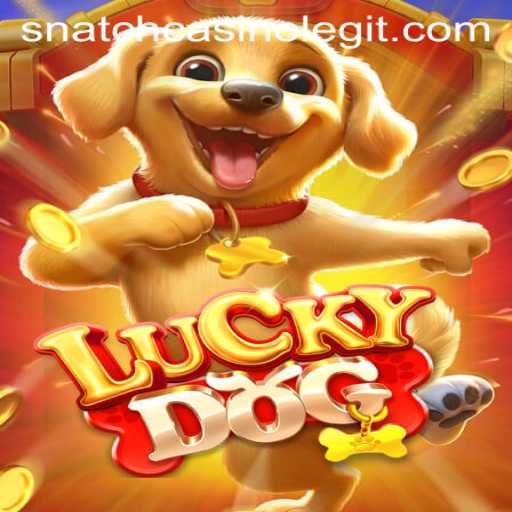 Discover LuckyDog at Snatch Casino: The Ultimate Gaming Experience